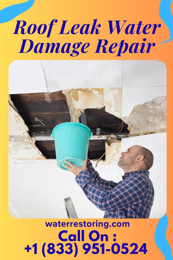 Roof Leak Water Damage Repair in Holt, AL
